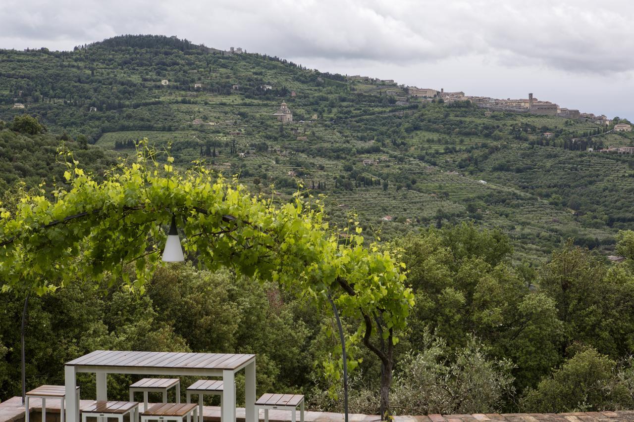 Villa Pomona Cortona Exterior foto